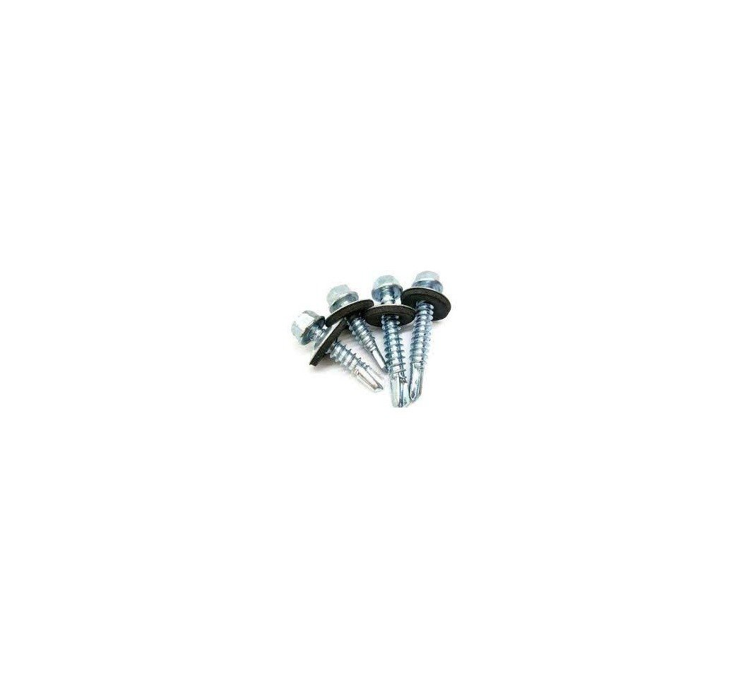 Self Drilling Hex Screw with Rubber Gasket 5.5 x 2 (200pcs)